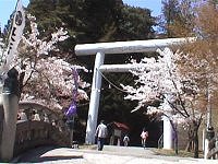 磐梯高原：土津神社桜まつり・その１