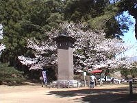 磐梯高原：土津神社桜まつり・その２